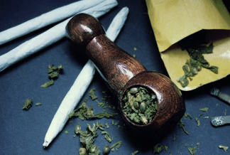 Cannabis